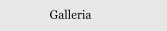 Galleria