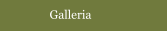 Galleria