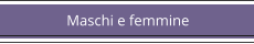Maschi e femmine