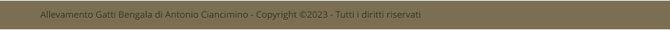 Allevamento Gatti Bengala di Antonio Ciancimino - Copyright 2023 - Tutti i diritti riservati