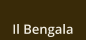 Il Bengala